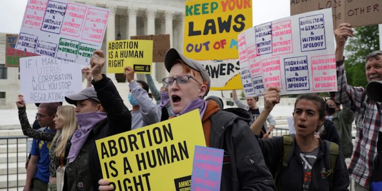 CEOs and Twitter trolls take on Roe v. Wade