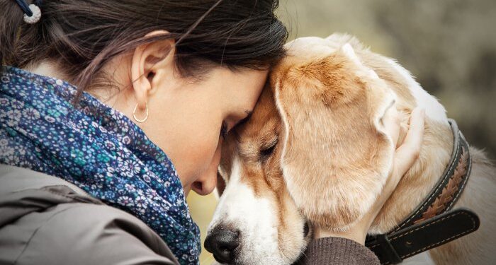 Find Out Why These A-List Celebs Are Talking About Pet Insurance