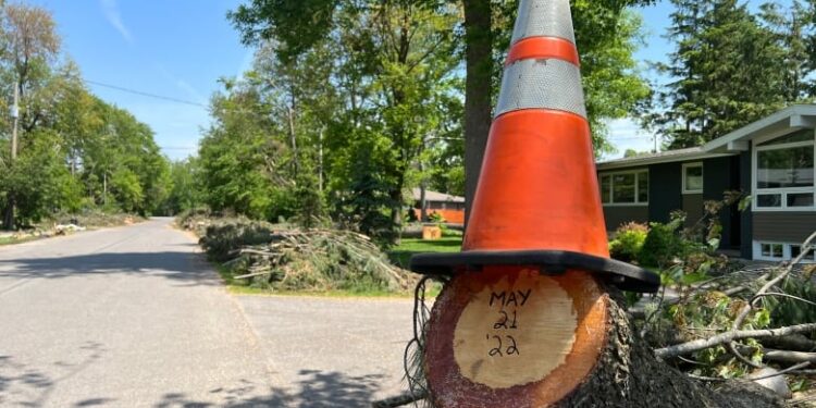 Generator users get different answers on insurance coverage for fuel