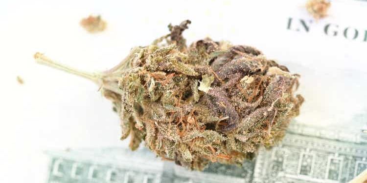 State bank regulators group urges Congress to pass cannabis banking legislation (TCNNF)