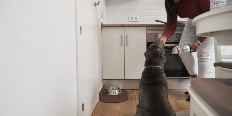 Does Using Chewy Save You Money on Pet Supplies?