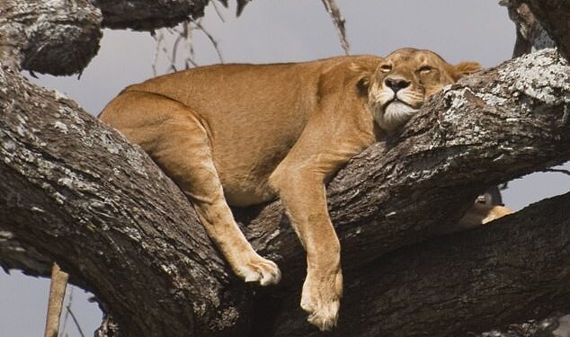 Is now the time to pounce on Scottish Mortgage and Fundsmith?