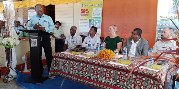 Sugarcane farmers who are members of SCGF can access loans to move into ginger farming